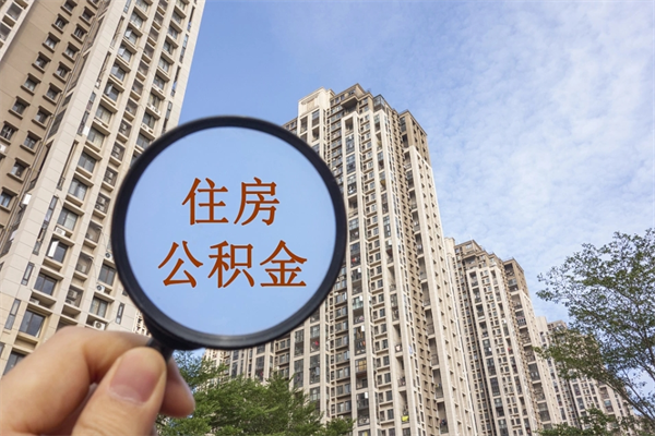巴彦淖尔市离职后公司不给转公积金怎么办（离职后公司不给转社保怎么办）